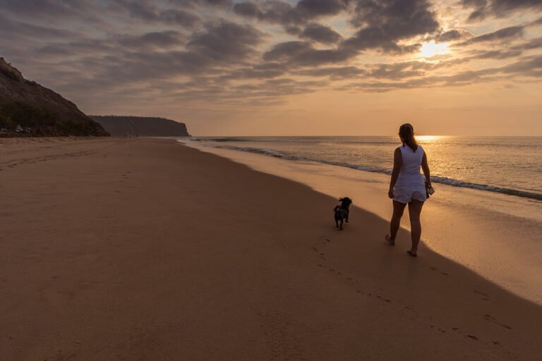 Can I Safely Walk My Dog On The Beach At Night?7 min read