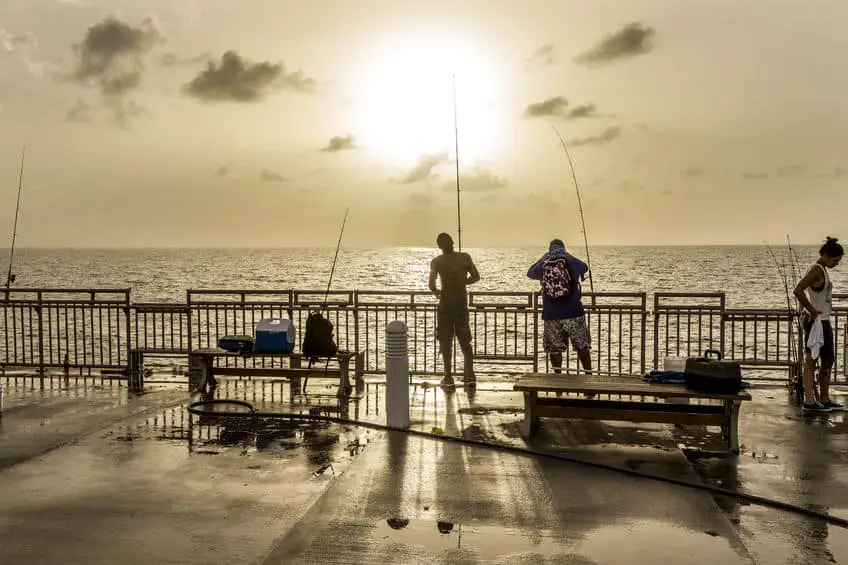 What saltwater fish can you catch off of a pier