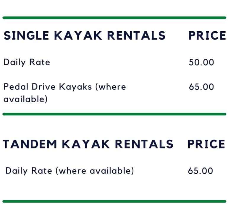 Avg Daily Kayak Rental Rate