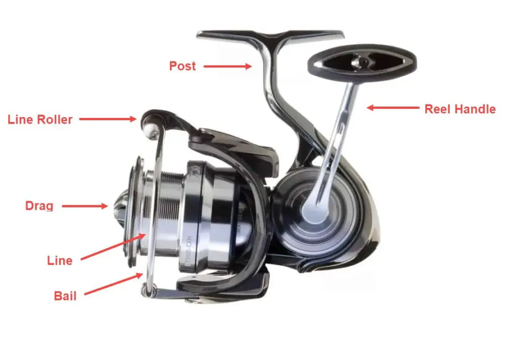 How to cast a spinning reel
