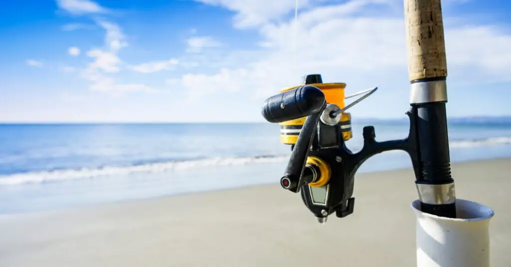 11 Best Spinning Rods For Surf Fishing Active At The Beach