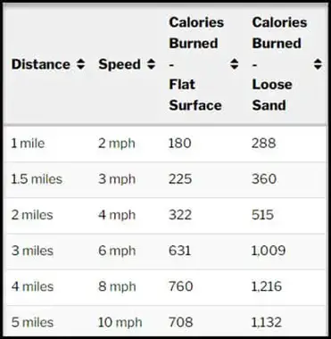 How To Calculate Calories Burned Running On The Beach – Active At The Beach