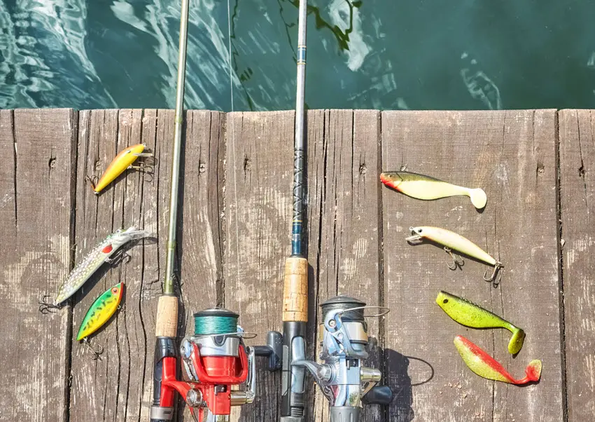 Top 3 Rigs for Landing More Speckled Trout Expert Advice to Increase