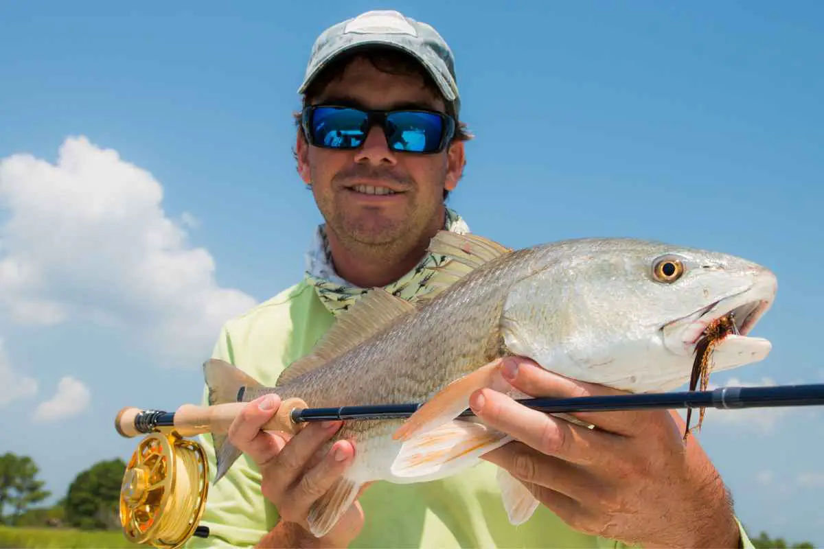 North Carolina Saltwater Fishing Regulations [2023] Top 47 Game Fish